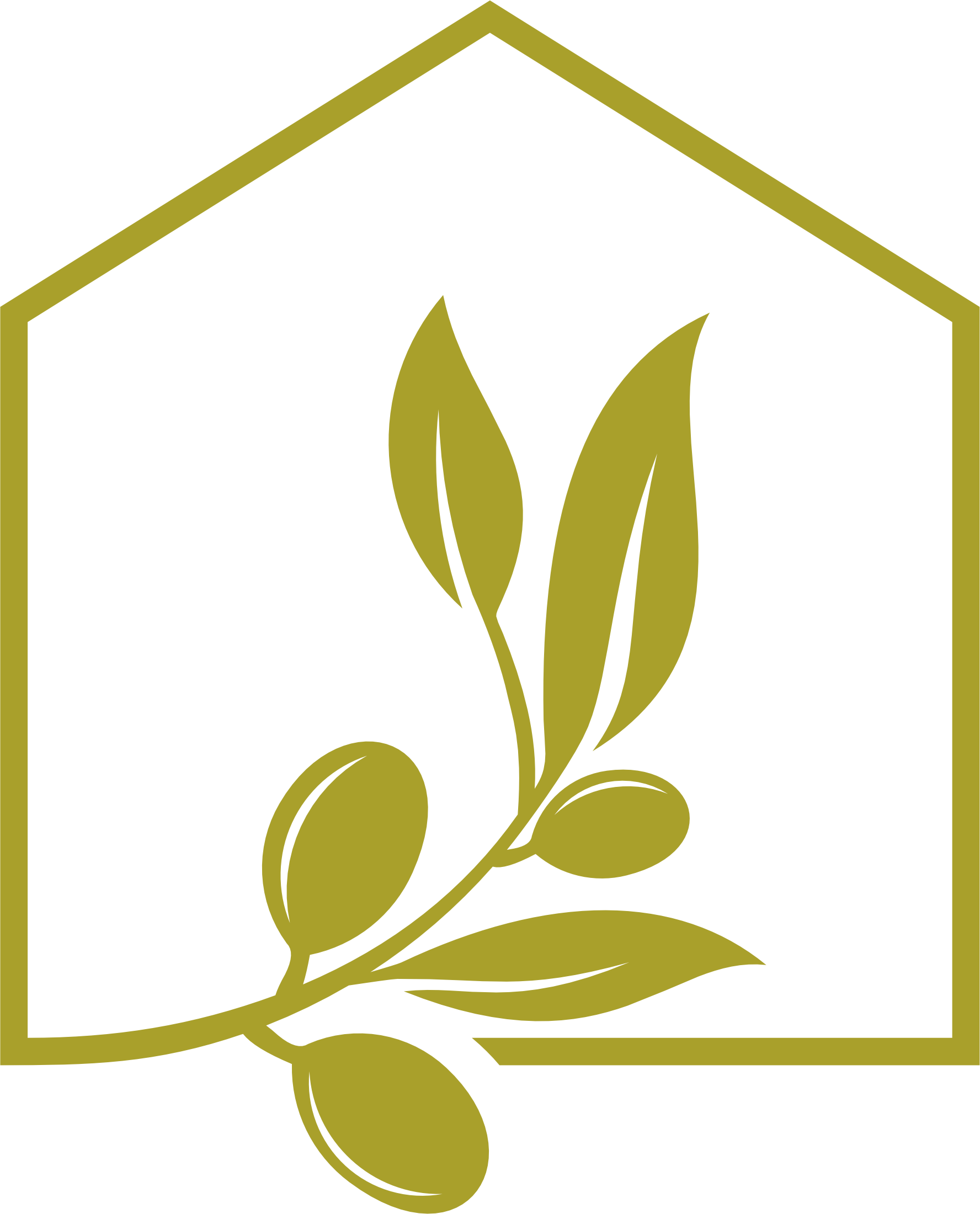 Zeytin Gayrimenkul